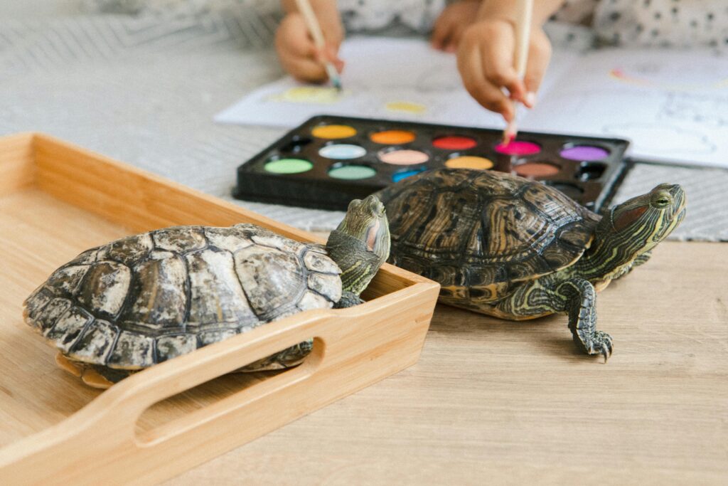 Two children painting with turtles on a wooden tray, engaging creativity.